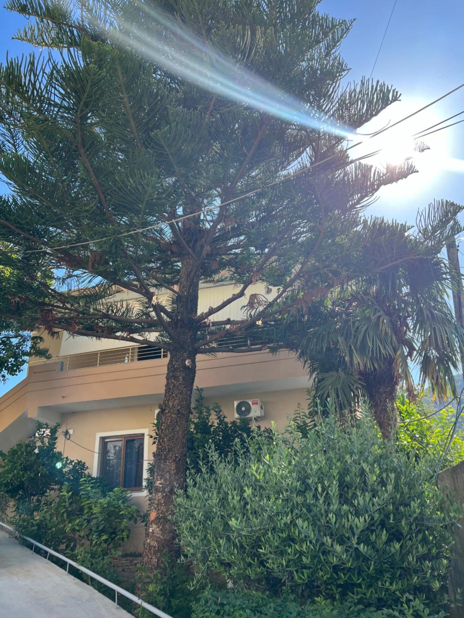 Villa Green Vlorë Exterior foto