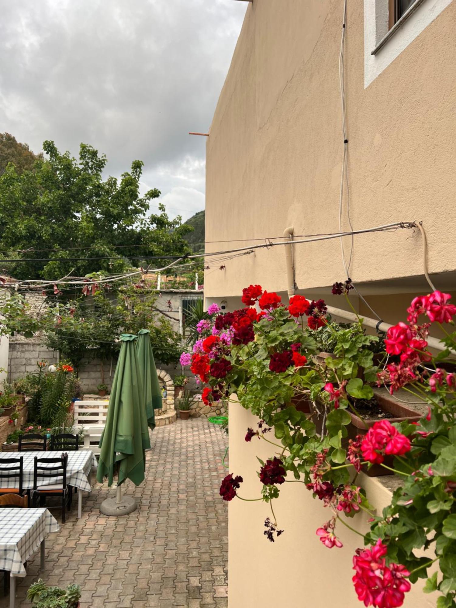 Villa Green Vlorë Exterior foto